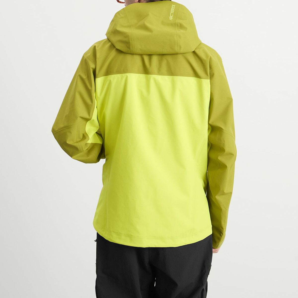 Arc'teryx Men's Beta AR Gore-Tex Jacket in Olive Moss