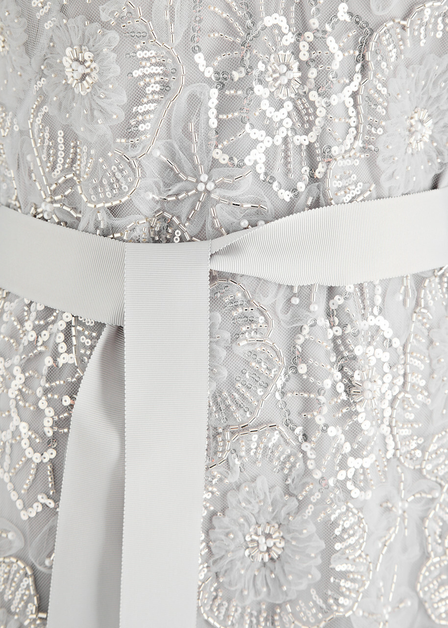 Huishan Zhang Esma Embellished Tulle Maxi Dress Silver