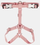 Miu Miu Logo dog harness