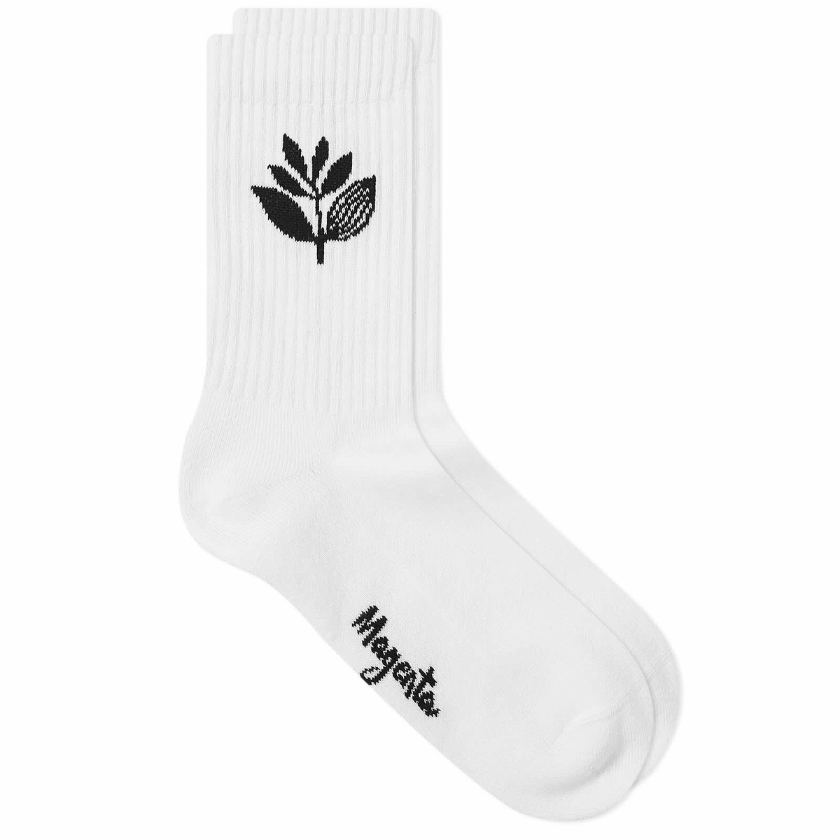Photo: Magenta Men's Plant Socks in White