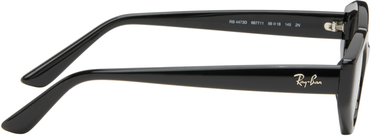 Ray-Ban Black RB4473D Sunglasses