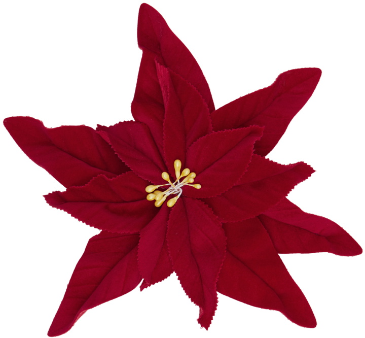 Photo: JW Anderson Red Poinsettia Brooch
