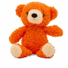 BEAMS JAPAN Teddy Bear in Orange 