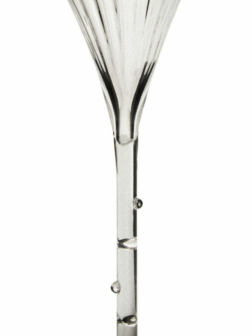 Sophie Lou Jacobsen Scalloped Rim Glass Cocktail Glass