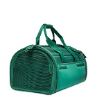 Wild One Travel Pet Carrier in Spruce