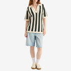 Adidas Women's x Clot Knitted Polo Shirt in Green Night/Cream White