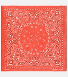 Alanui - Paisley cotton scarf