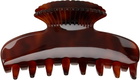 Sophie Buhai Brown Fan Shell Claw Clip
