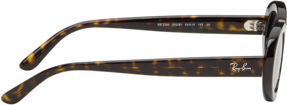 Ray-Ban Brown RB2223 Sunglasses