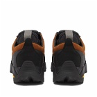 ROA Men's Neal Hiking Shoes in Brown Black