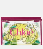 Chloé Soleil Small leather-trimmed pouch