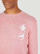 Chimera Sweater in Pink