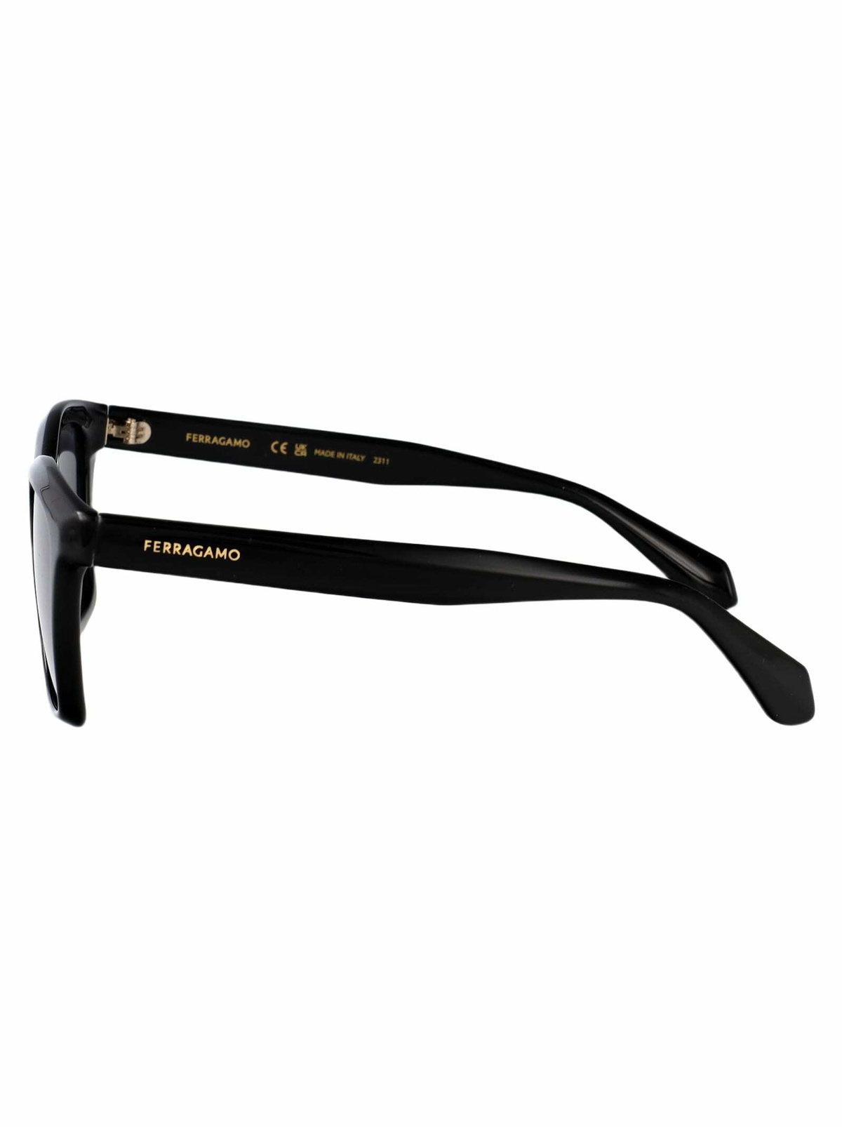 Salvatore Ferragamo Eyewear Sf2001s Sunglasses