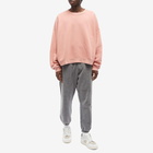 Acne Studios Men's Fester Vintage Crew Sweat in Vintage Pink