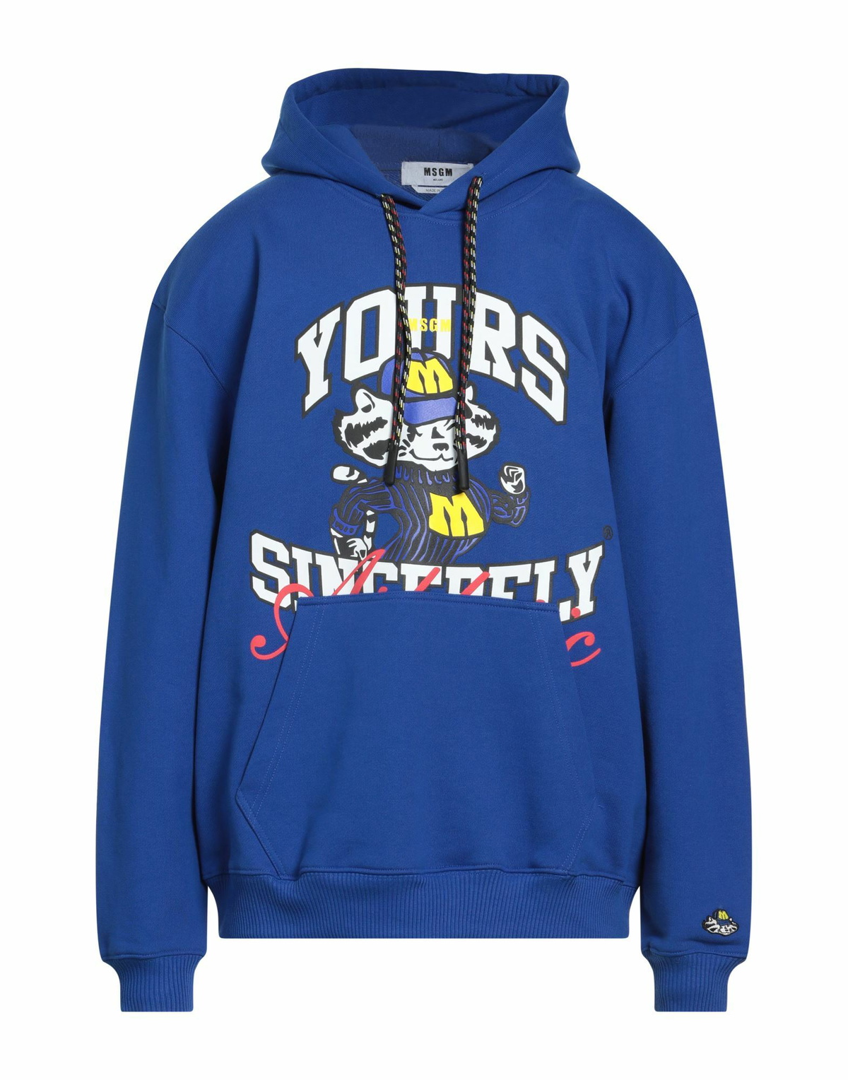 Msgm Mens Sweatshirt in Blue