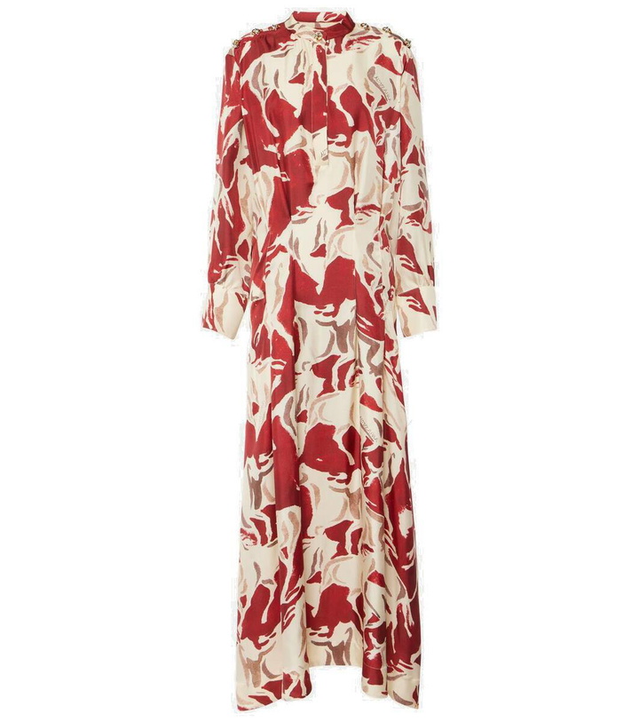 Photo: Altuzarra Felicia printed silk maxi dress