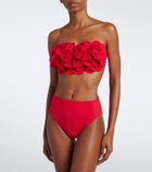 Karla Colletto Basics bikini bottoms