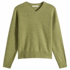 Nothing Written Women's Marsh V-Neck Pullover in Herb Sage