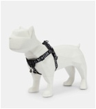 Moncler Genius x Poldo Dog Couture logo dog harness