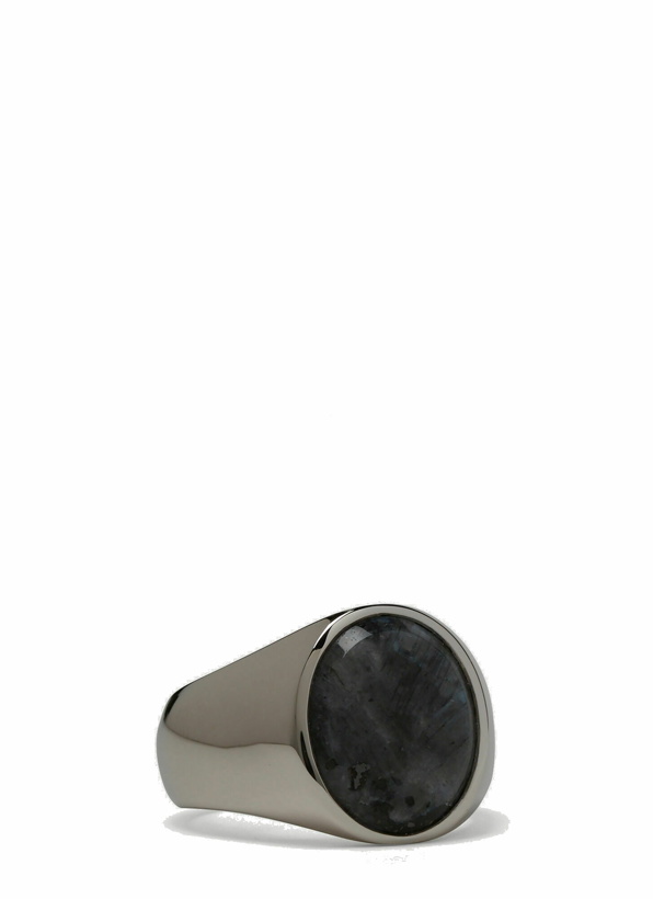 Photo: Larvikite Oval Signet Ring in Silver