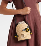 Loewe Paula's Ibiza Beehive raffia crossbody bag