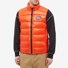 Canada Goose Men's Crofton Vest in Signal Orange