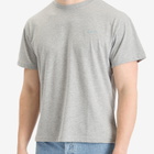 Pendleton Men's Agate Beach T-Shirt in Heather Grey/Beach Agate