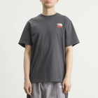 The North Face Men's 1966 Flora Relaxed T-Shirt in Anthracite Grey