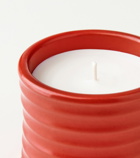 Loewe Home Scents Tomato Leaves Small scented candle
