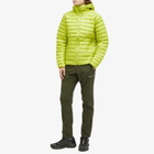 Montane Men's Tenacity Pants in Oak Green