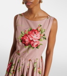 Dolce&Gabbana Floral belted cotton midi dress