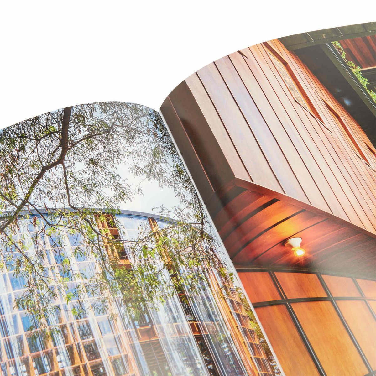 Assouline Bangkok Spirit in Simon Liberati 