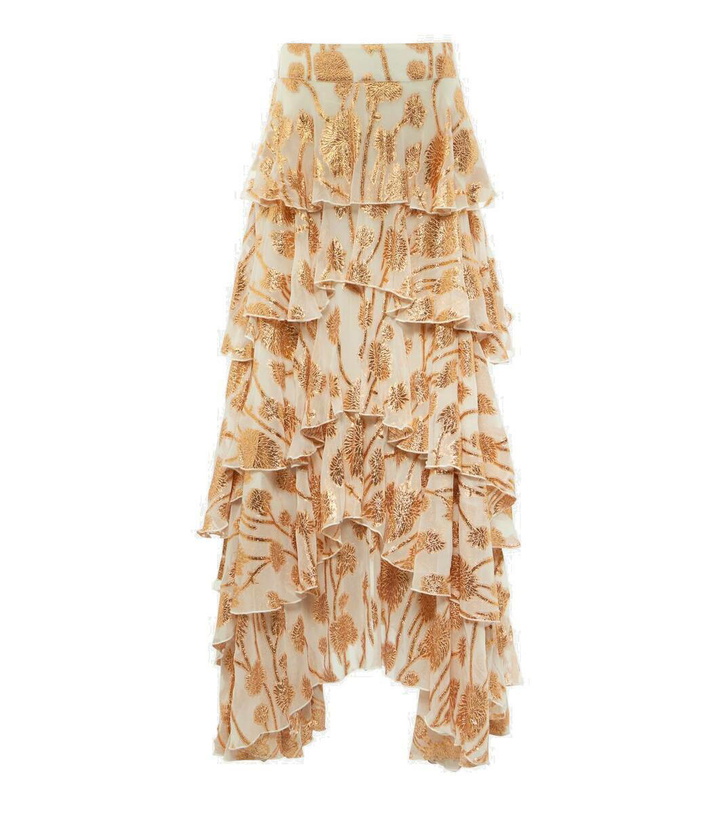 Photo: Alexandra Miro Cordelia embroidered tiered maxi skirt