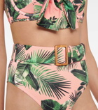 Alexandra Miro Ursula palm-print bikini bottoms