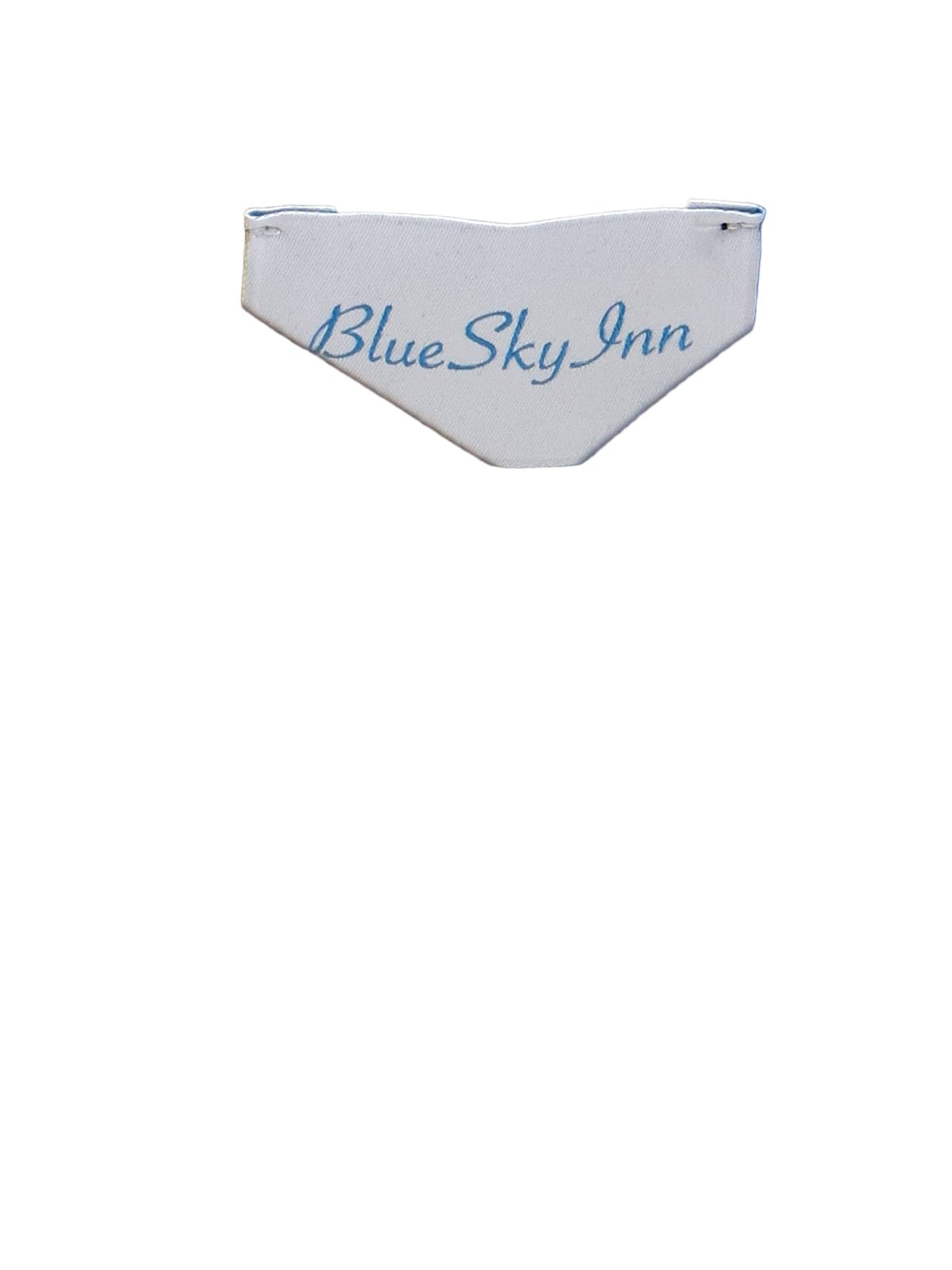 Blue Sky Inn Printed Hoodie