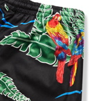 Go Barefoot - Cruizing Tropical Birds Printed Shorts - Black