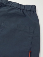 Barena - Agro Cotton-Blend Shorts - Blue