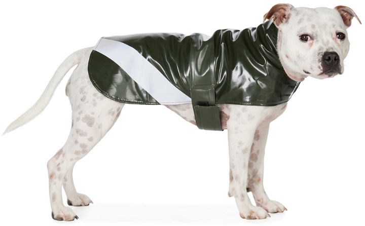 Photo: Stutterheim SSENSE Exclusive Green Dog Raincoat