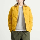 Kestin Men's Dunbar Padded Jacket in Yellow