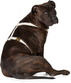 See Scout Sleep Gray The Scot Extra Large Original Harness