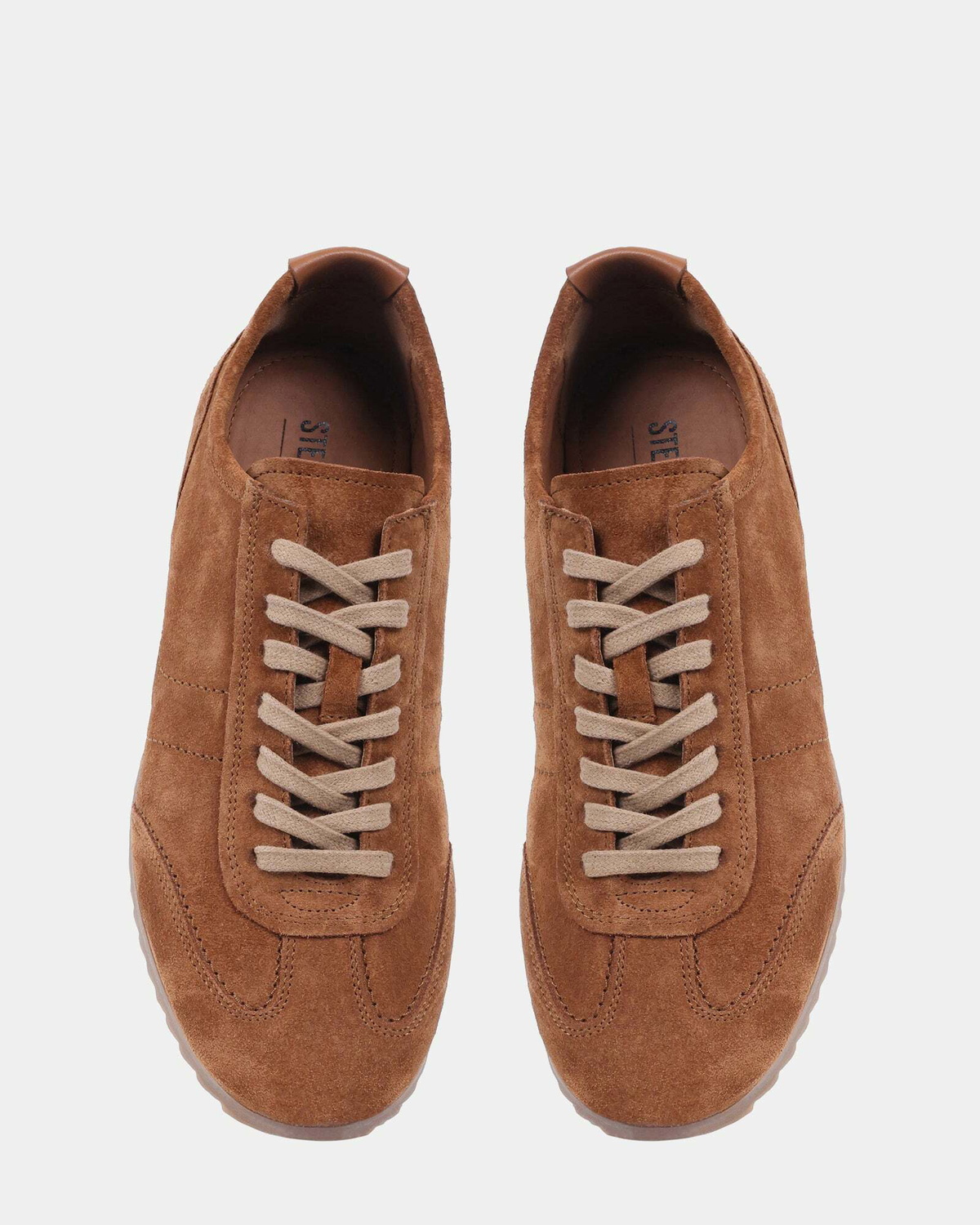 Steve Madden Picton Sneakers in Tobacco
