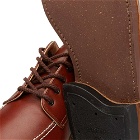Alden Shoe Company Men's Alden Indy Shoe in Brown Calf Leather