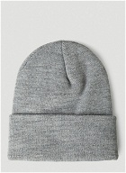 Stüssy - Stock Cuff Beanie Hat in Grey