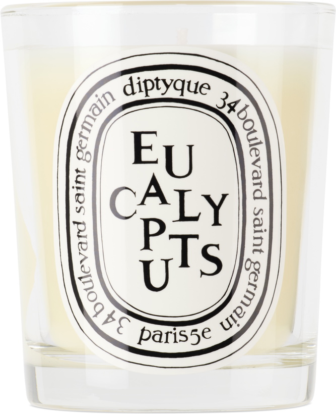 Photo: diptyque Eucalylptus Classic Candle