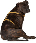 See Scout Sleep Yellow The Scot Extra Large Original Harness