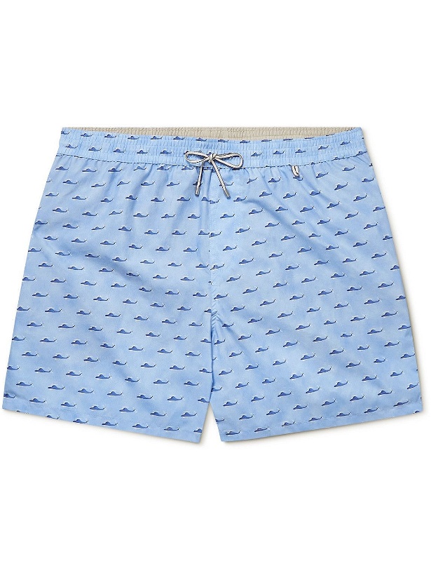 Photo: Loro Piana - Mid-Length Printed Swim Shorts - Blue