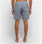Onia - Calder Long-Length Printed Swim Shorts - Blue
