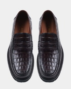 Steve Madden Montez Dress Shoes in Brown Croco