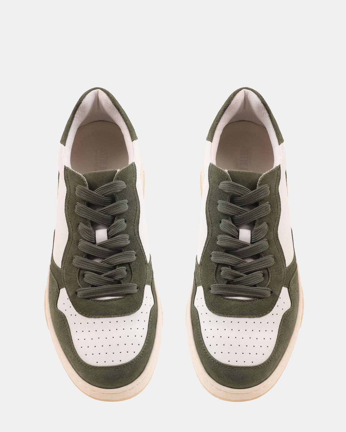Steve Madden Satriani Sneakers in Sage