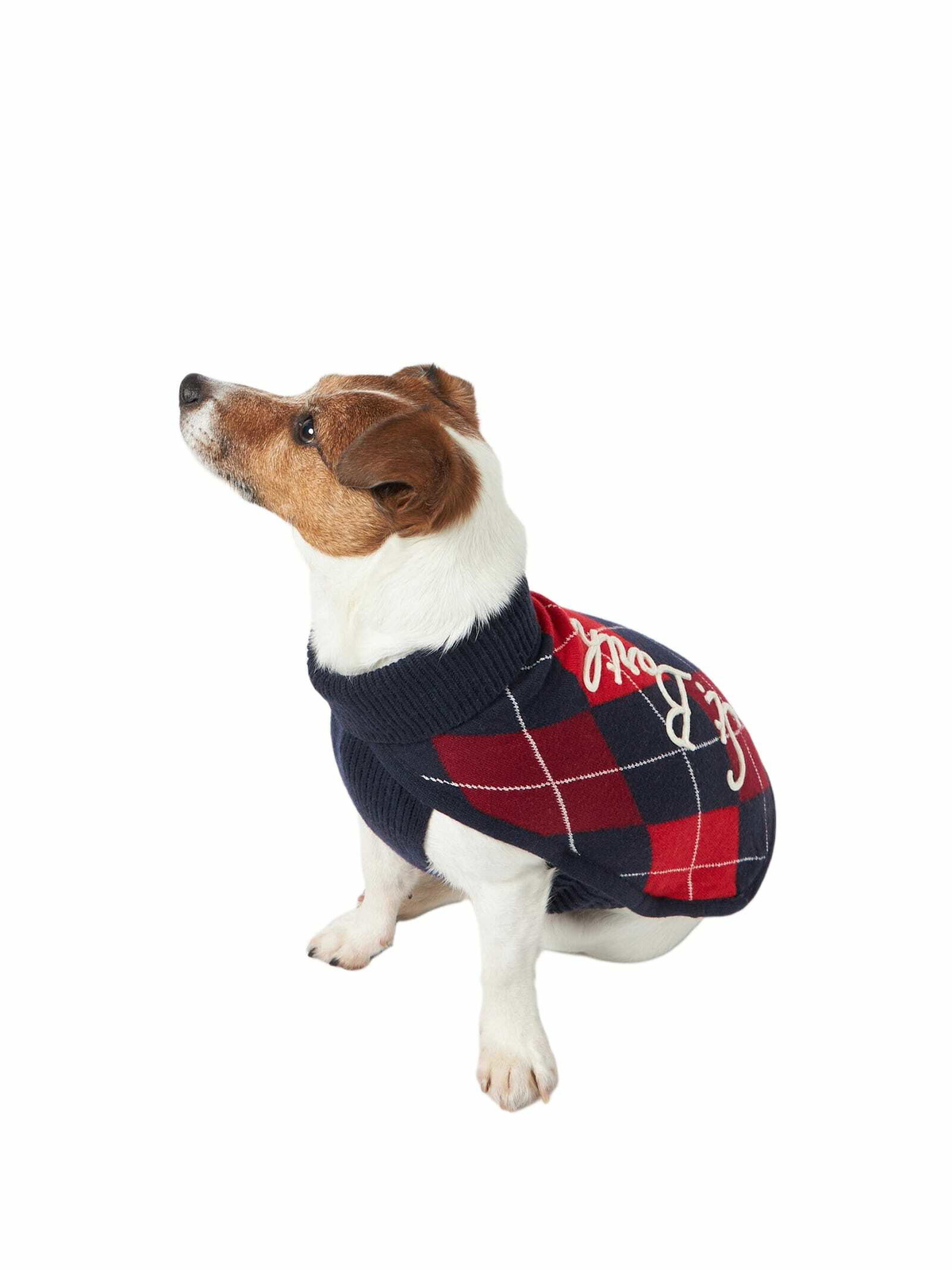 MC2 Saint Barth Dog Sweater With Argyle Print